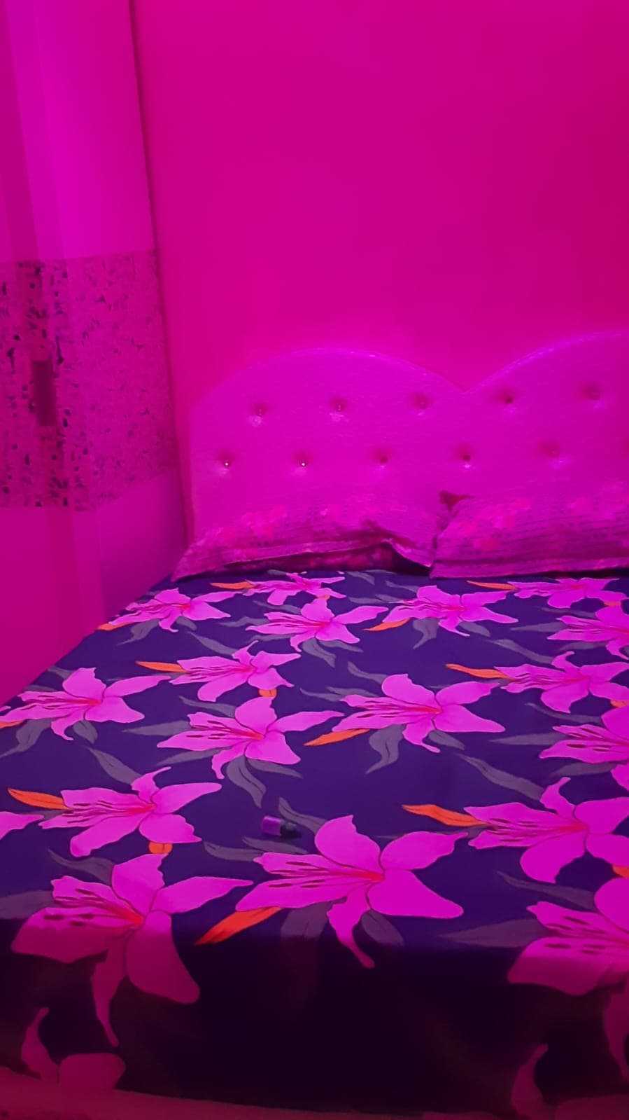 The Pink Zone